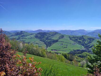 Foto de Chr Lenz a lo largo del recorrido