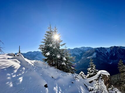 Zdjęcie z Natur_erleben_dg wzdłuż trasy