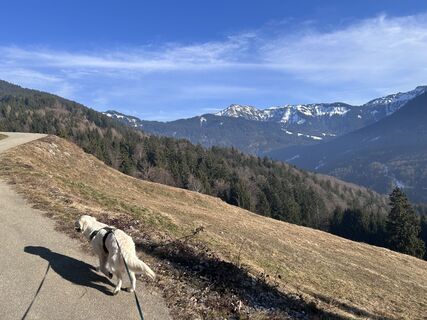 Foto von Bene Schadel entlang der Tour