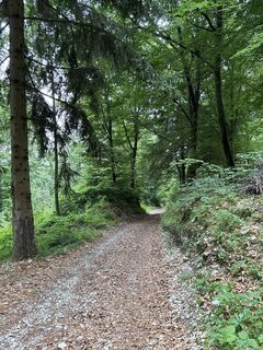 Foto von Heinz Sperl entlang der Tour