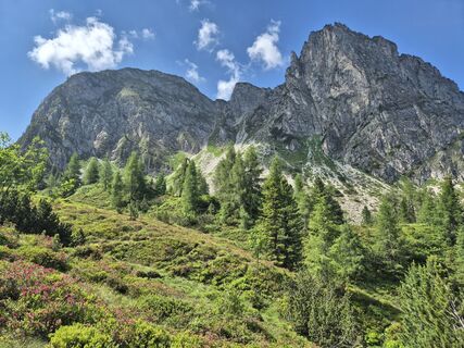 Fotografija s spletne strani melvet na poti