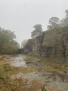Photo de Pauline Pietsch le long du parcours