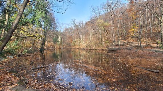 Foto von Regina Fleischmann entlang der Tour