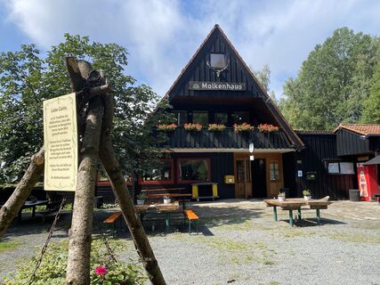 Zemljevid