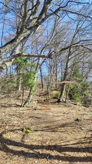 Foto von Anna Kopfmüller entlang der Tour