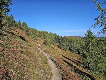 Photo de Christian Hutter 1 le long du parcours