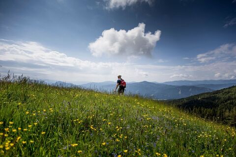 Wandern