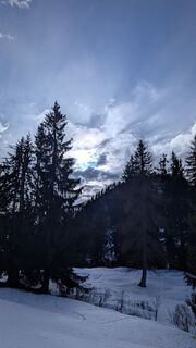 Foto von Ziegler Em1304 entlang der Tour