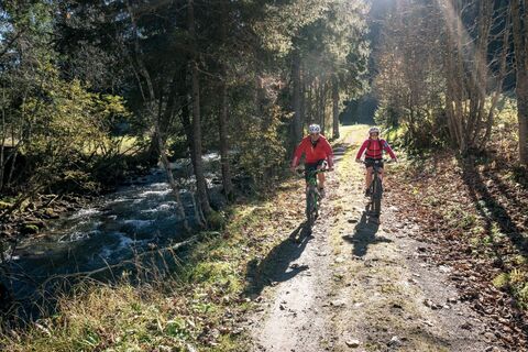 Schöner Waldweg im Obertal