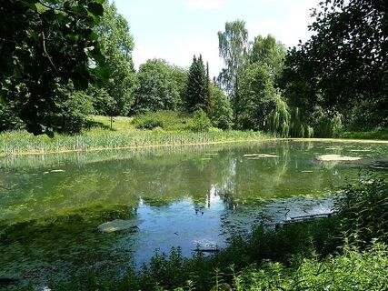 Kurpark Randringhausen