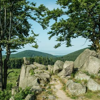 Zemljevid