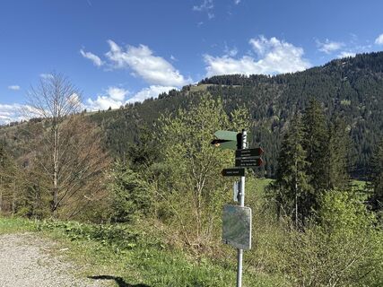 Fotografie z Similaun na trase