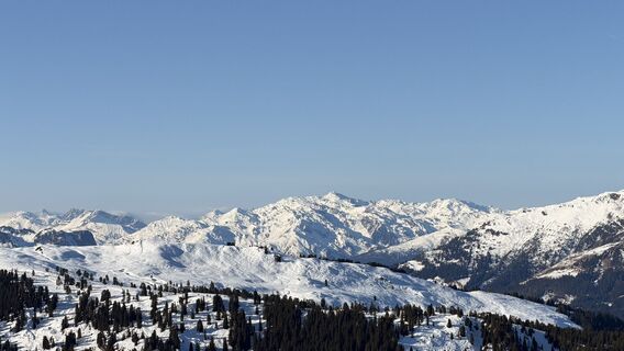Fotografie z Thomas Düngfelder na trase