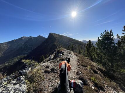 Foto von Matthias Nebel entlang der Tour