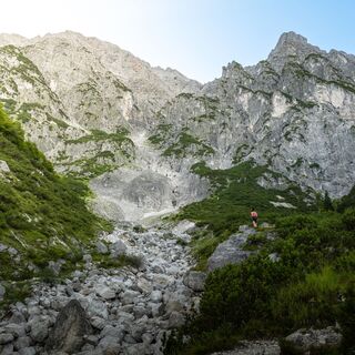 Blick auf die Leoganger Steinberge