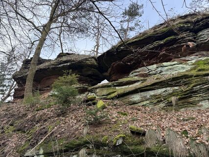 Fotografie z Norbert Herbig na trase