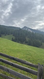 Fotografija s spletne strani Irene Duitshof na poti
