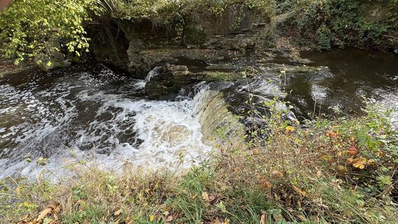 Photo de Jean-Marc Bauler le long du parcours