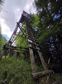 Photo de Michael Kammerer 2 le long du parcours