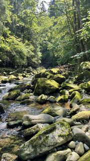 Fotografie z Ramon Schmidt na trase