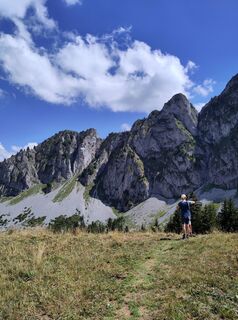 Photo de King Kong le long du parcours