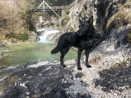 Foto von BenHobo entlang der Tour