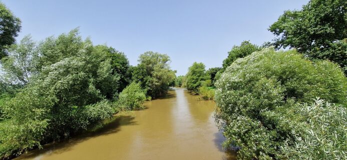 Foto da Utassy Tóth Johanna lungo il tour