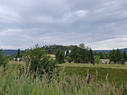 Foto von nordbergschnecke entlang der Tour