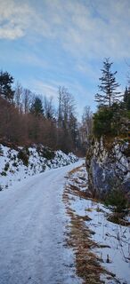 Fotografija s spletne strani ReginaSt na poti