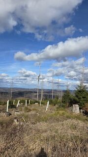 Foto von Gabriele Wagener entlang der Tour