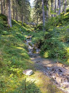 Photo de Stefan Heinzelmann le long du parcours