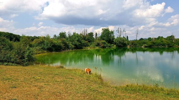 Photo de Thomas Michel le long du parcours