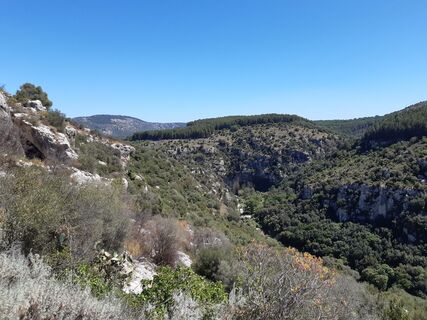 Fotografija s spletne strani nordbergschnecke na poti