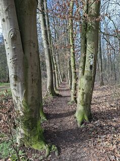 Foto von Yolanda de entlang der Tour