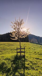 Foto von Kathrin entlang der Tour