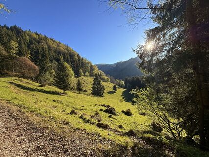 Foto von Natur_erleben_dg entlang der Tour