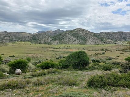 Nida Plateau