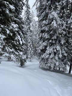 Fotografie z Fehér Kristóf na trase