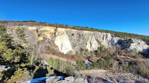 Fotografia z Regina Fleischmann na trase