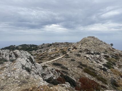 Foto von Grizzli entlang der Tour