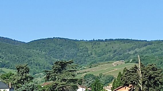 Fotografija s spletne strani Bret Edith na poti