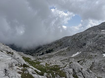 Foto da Grizzli lungo il tour