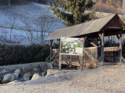 wasserthemenweg-station-wasser-und-seine-vielfalt.jpg