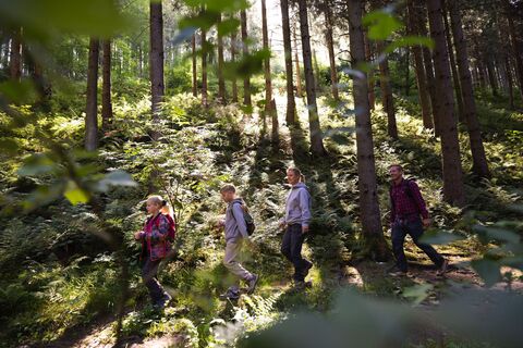 Familie auf dem Waldweg
