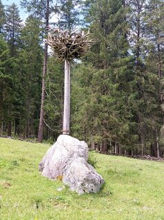 Fotografija s spletne strani Jens Brunner na poti