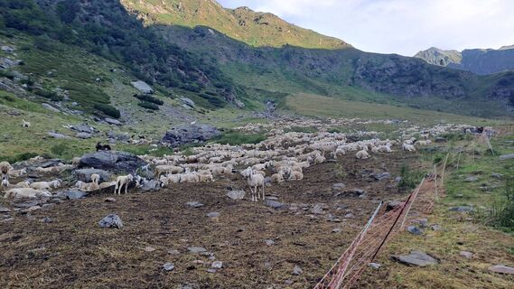 Foto de Sergio Gatti a lo largo del recorrido