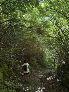 Fotografia z Passport1405 na trase