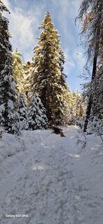 Fotografia z Mario Augustini na trase