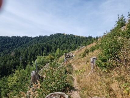 Fotografie z Felix na trase