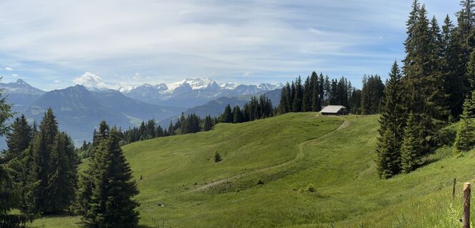 Photo de Beat A Wicki le long du parcours